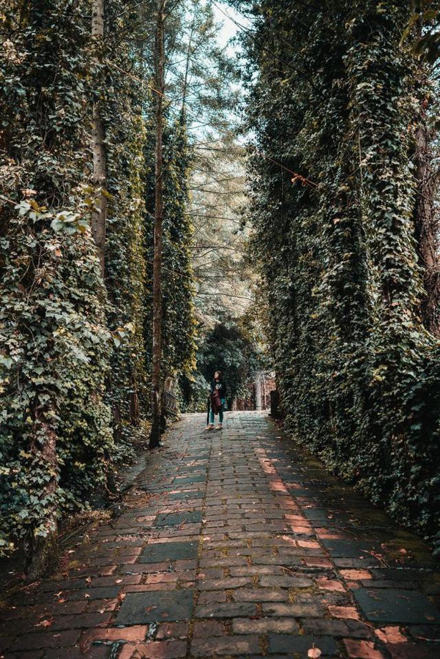Boxque Teva Cidade do México Exterior foto